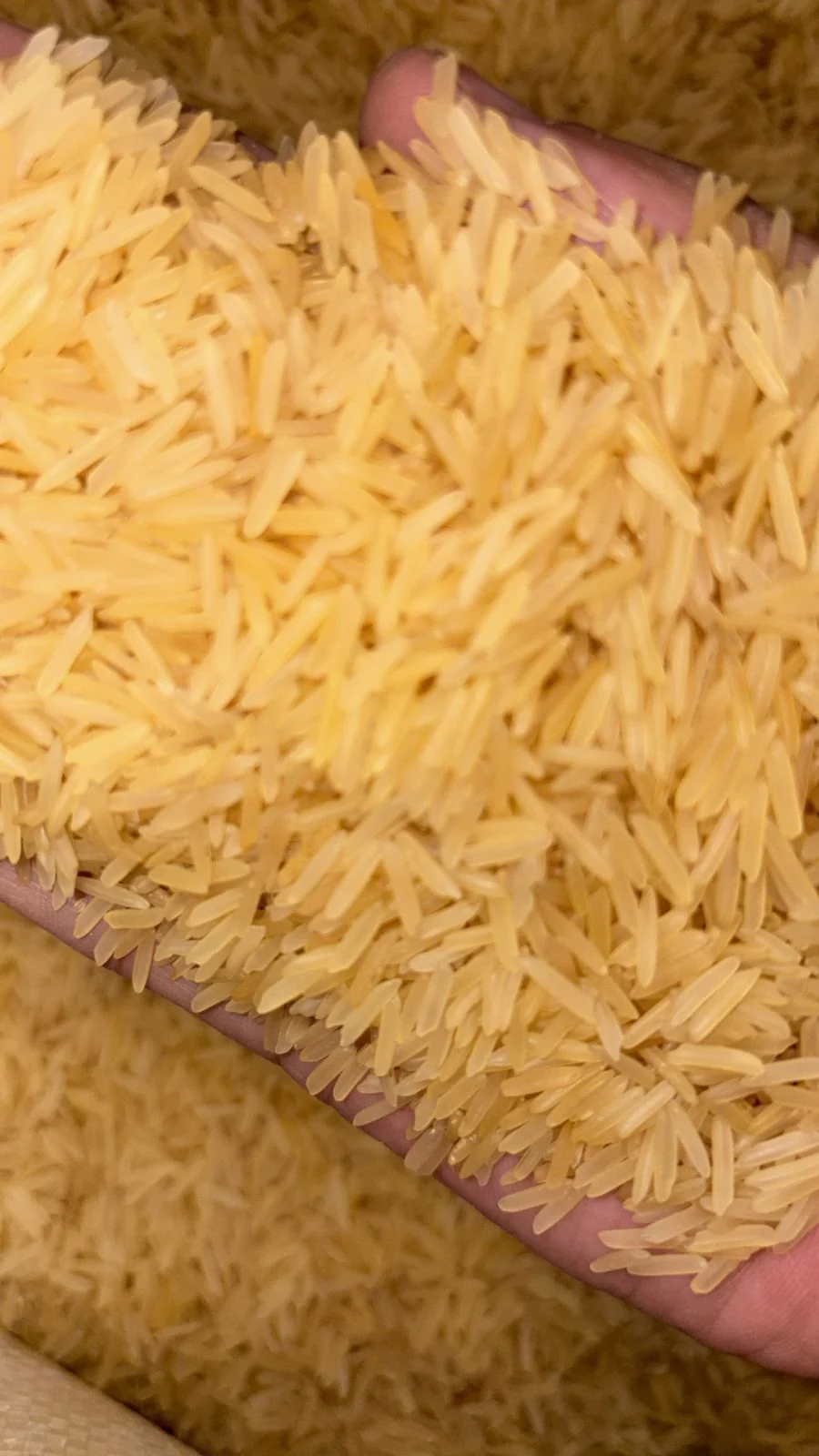 Long grain yellow basmati rice 1 kg - Image 4